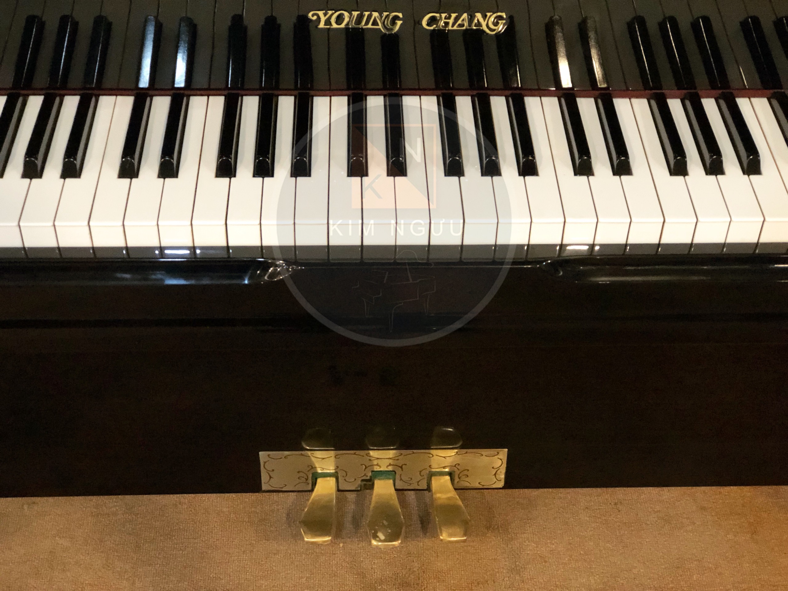 ĐÀN PIANO YOUNG CHANG U131