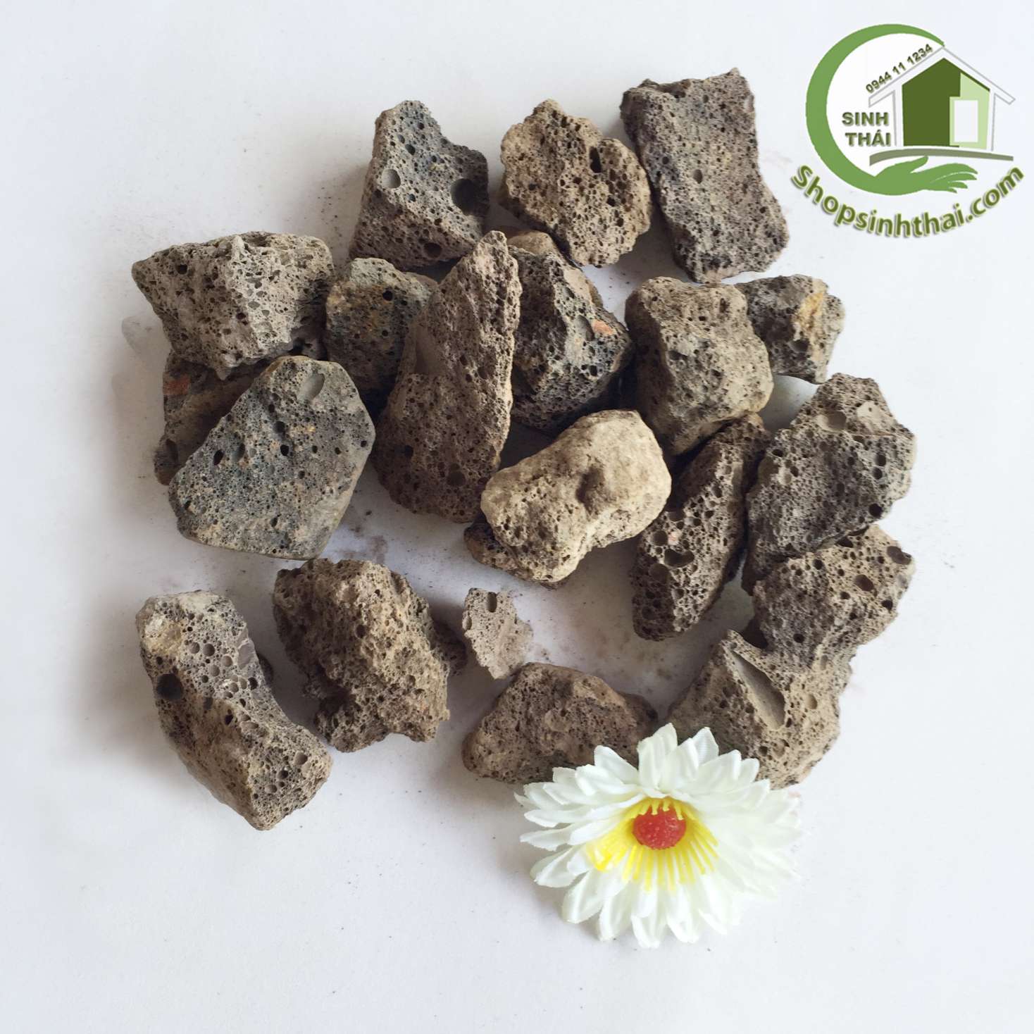 [HCM]1kg Đá nham thạch núi lửa - vật liệu lọc trang trí bể cá
