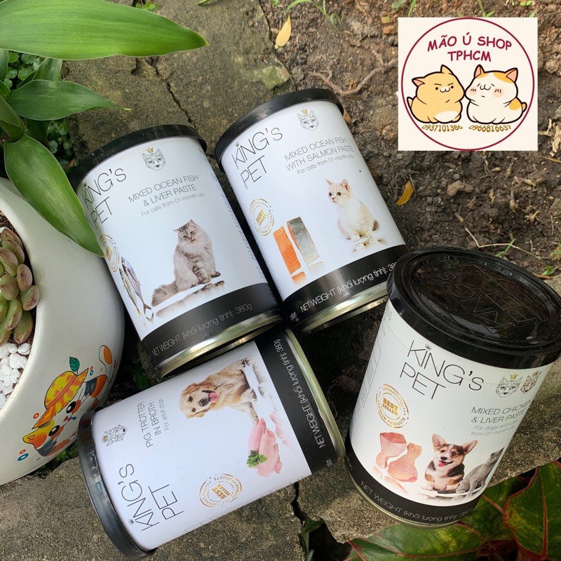 Pate king’s pet - pate cho chó/mèo con - lon 380g