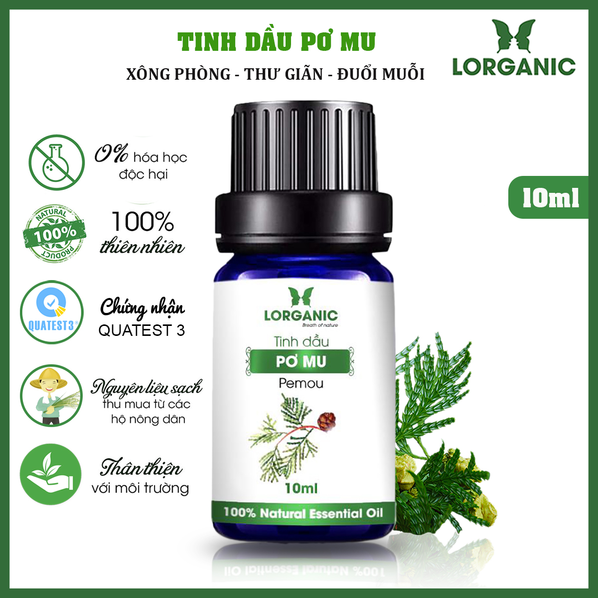 Tinh dầu pơ mu Lorganic 10ml, 50ml