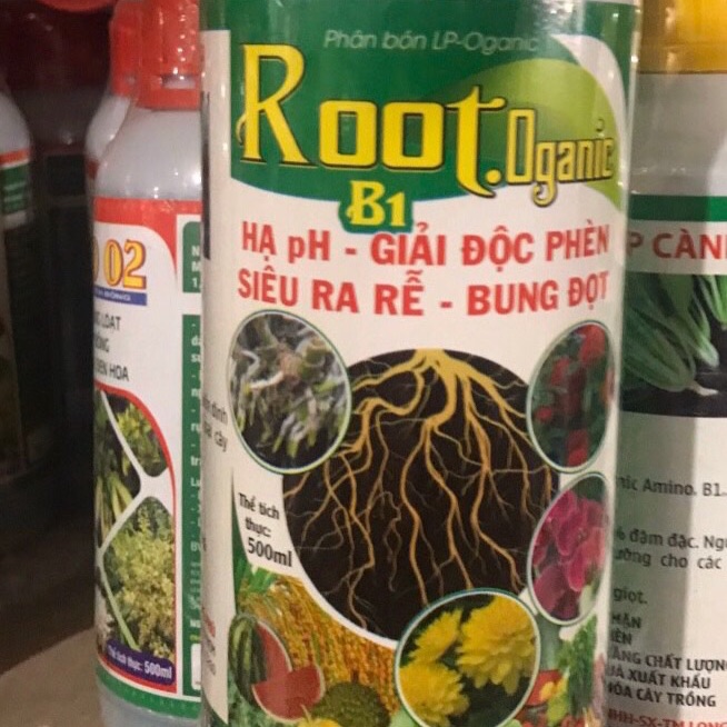 ROOT OGANIC B1 hạ pH giải độc phèn-siêu ra rễ-bung đọt 500ml