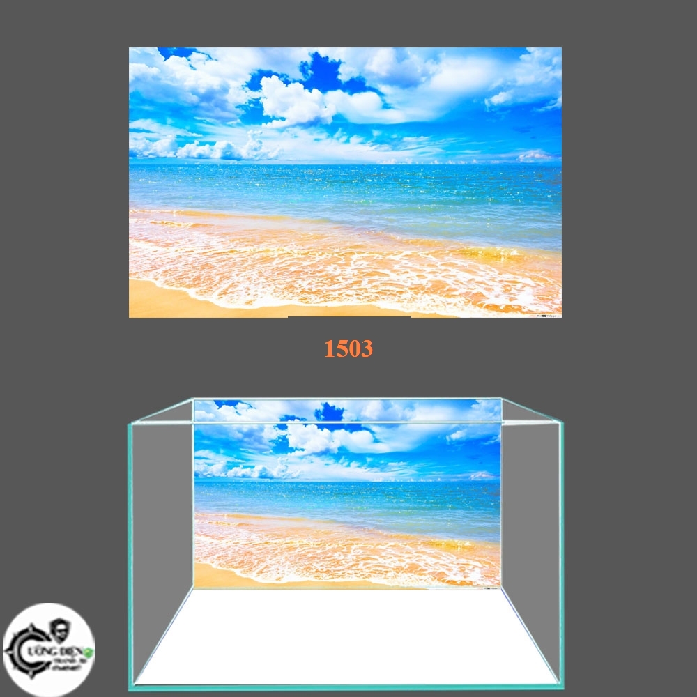 Tranh 3d dán bể cá cảnh - Cường Điện - nhiều kích thướt lựa chọn