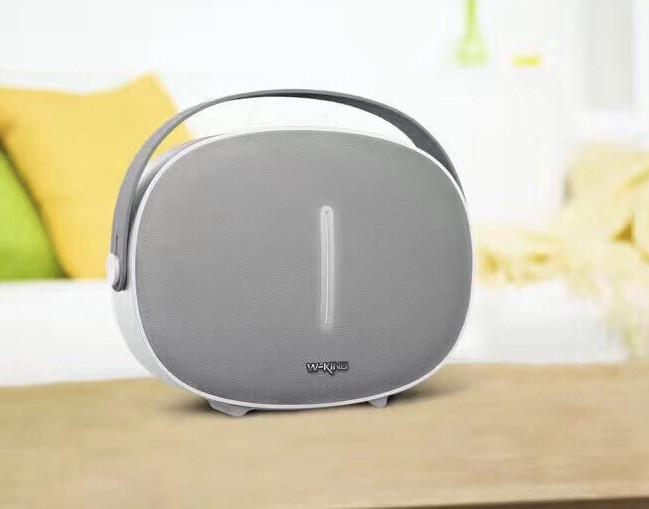 Loa bluetooth W-King T6