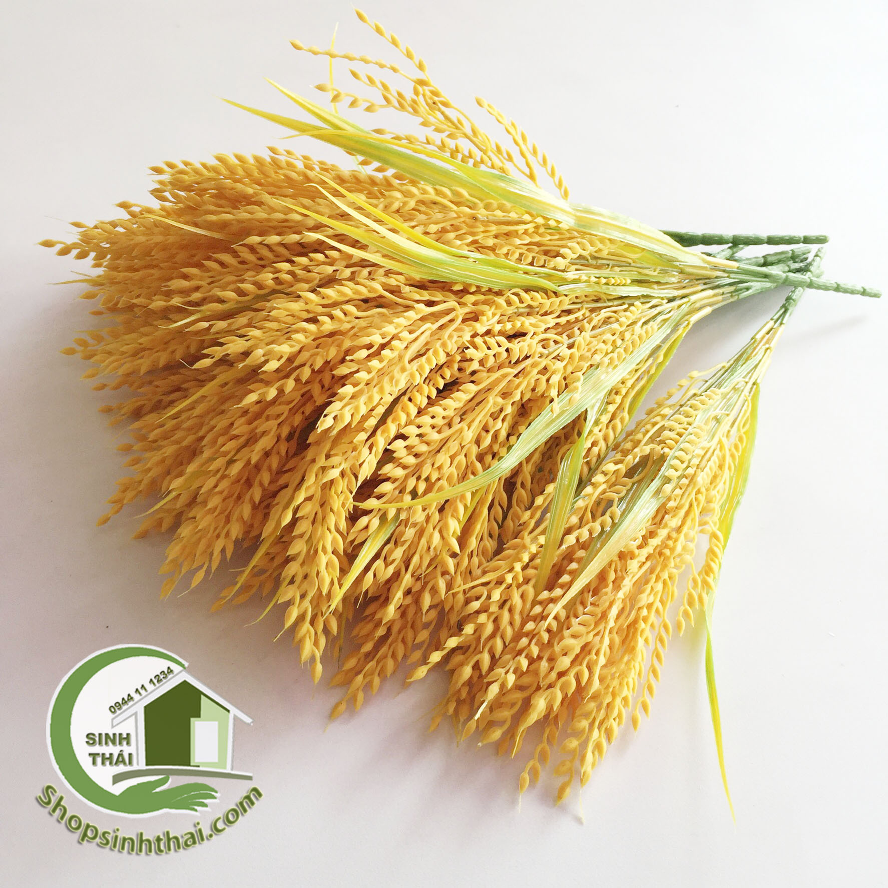 [HCM]Bụi Cây Bông Lúa Vàng Cao 50cm - Bụi Cỏ Lúa Vàng [ 1 bụi ]