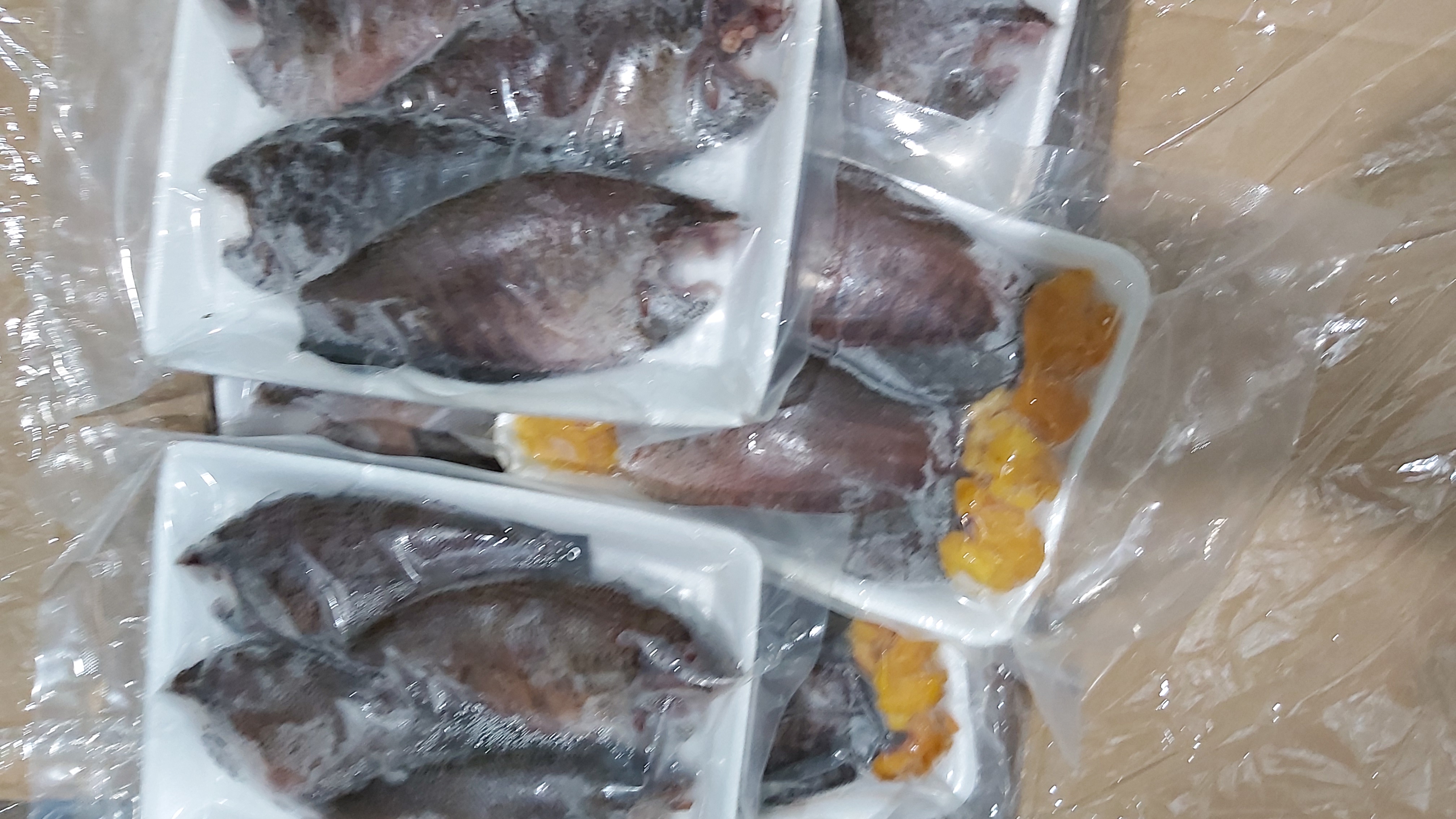 [HCM]CÁ SẶC BỔI KHÔNG TRỨNG 1 NẮNG