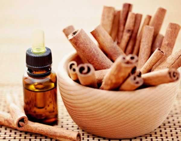 [HCM]Tinh dầu Vỏ Quế Sala Oil