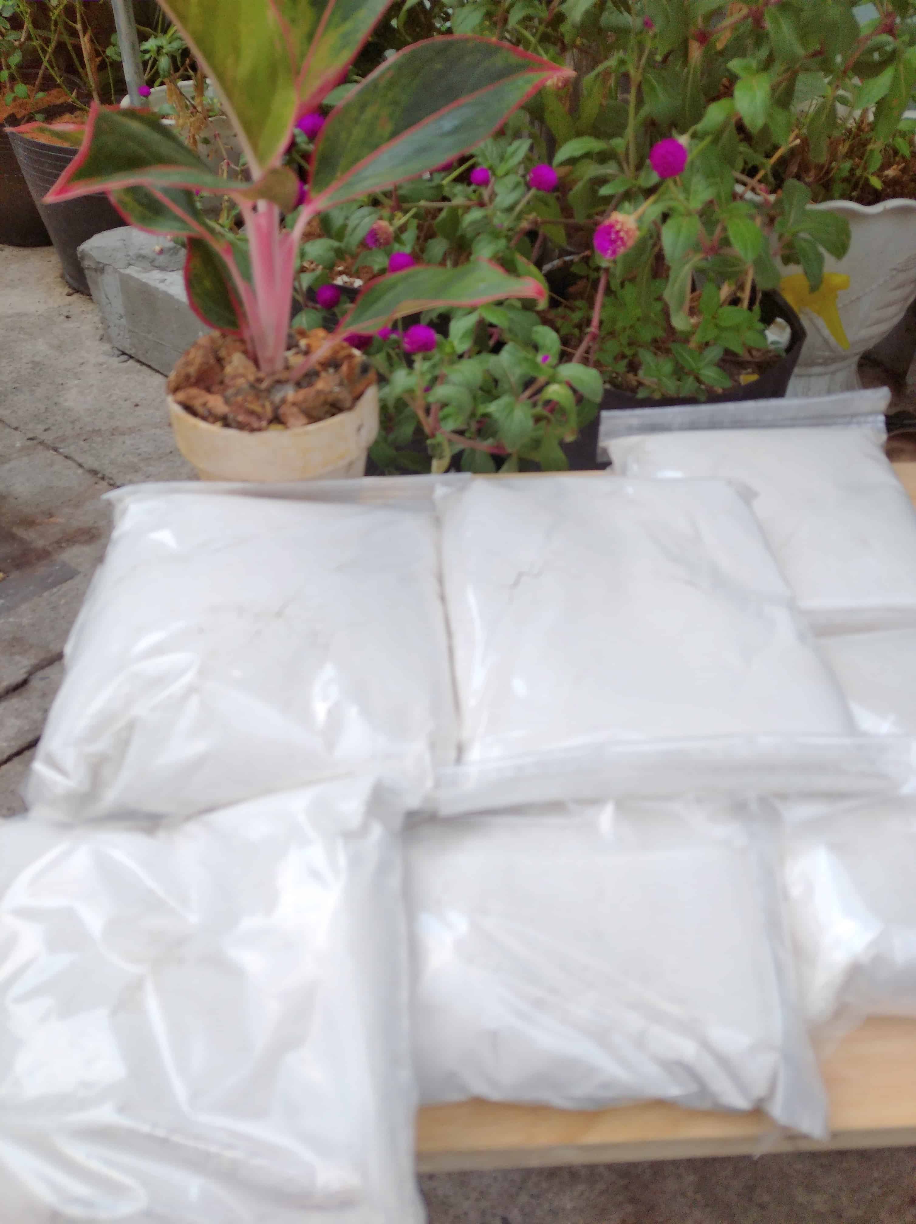 Plaster Powder for Orchid Watering 1kg