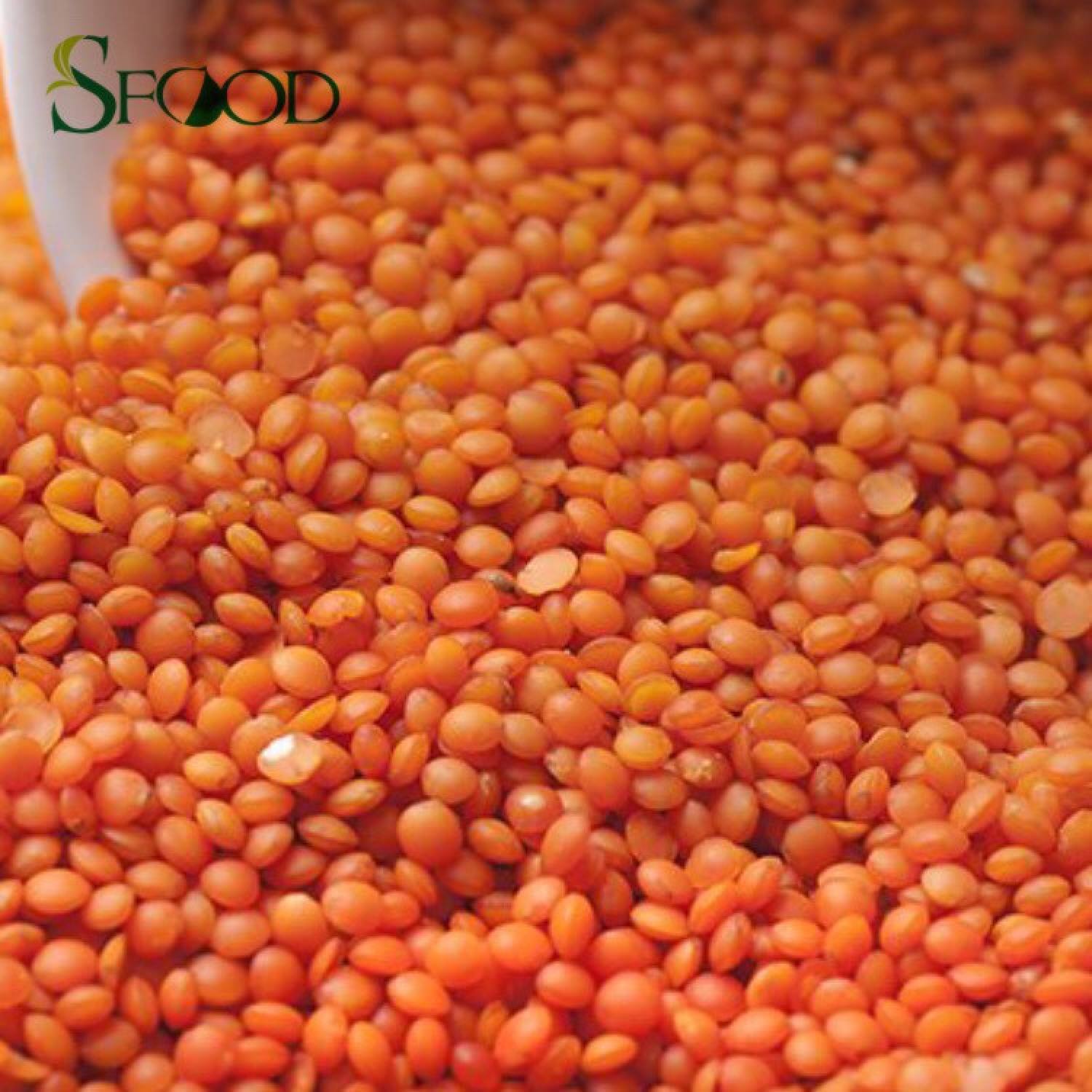 Đậu lăng Sfood 500gram, đậu lăng đỏ