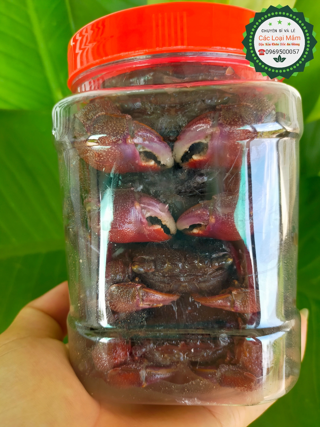 mắm ba khía nguyên con