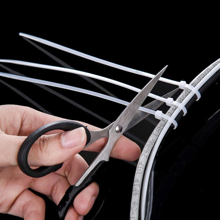 Set 100 B39 dây rút nhựa size 150 X 2.5MM (hai màu trắng đen) NXNDB39