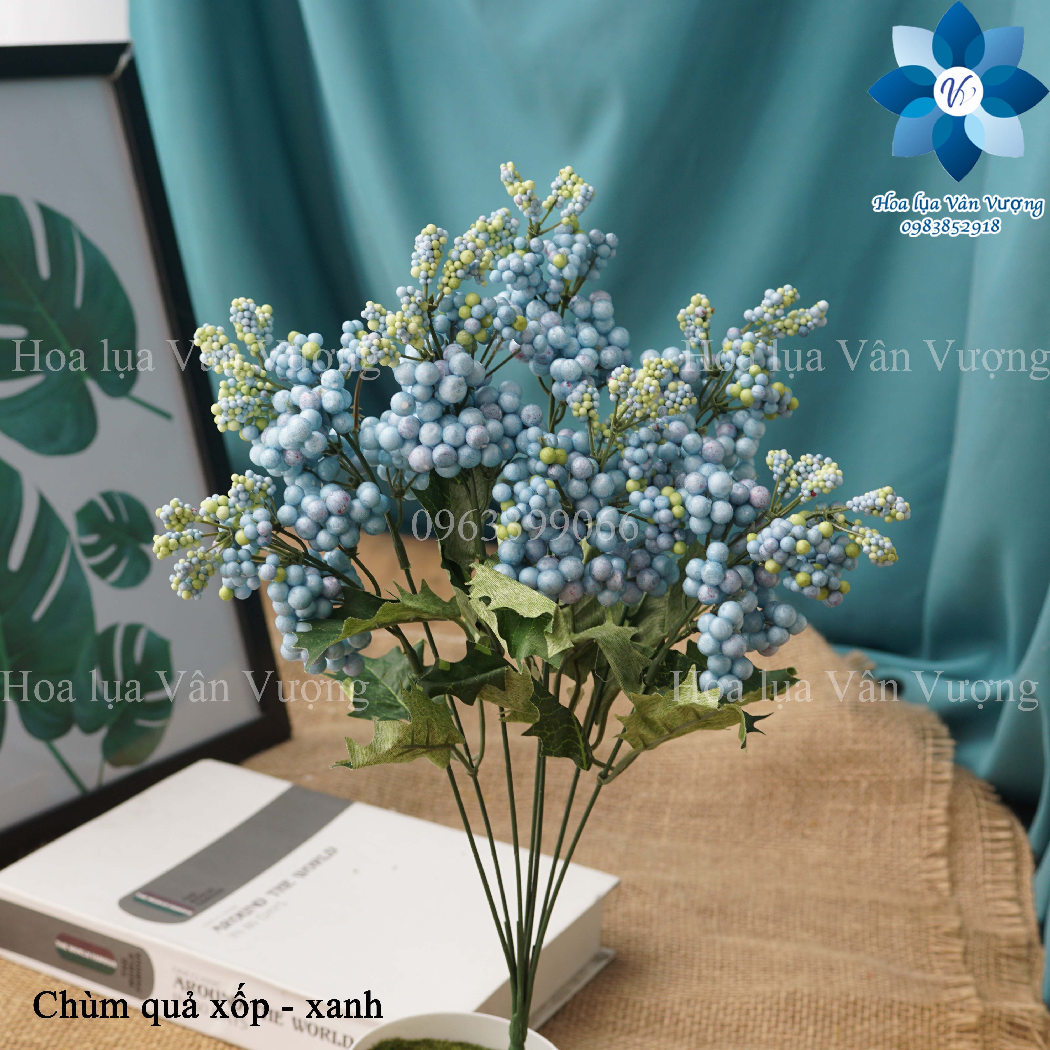 Hoa Giả, Chùm Quả Xốp Điểm