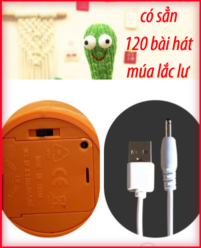cây xương rồng nhảy múa