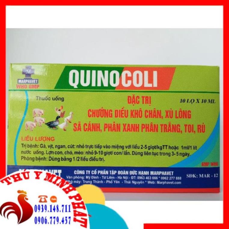 01 LỌ QUINOCOLI LỌ 10ML