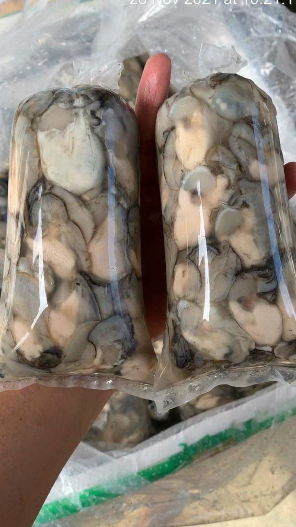 Hào sữa tách vỏ 500g (giao tphcm) đặt hoả tốc