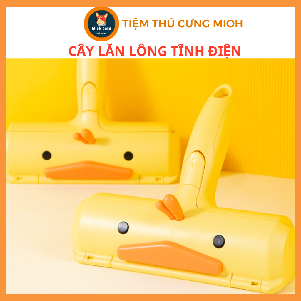 Cây lăn lông tĩnh điện, lăn lông chó mèo, bụi sofa
