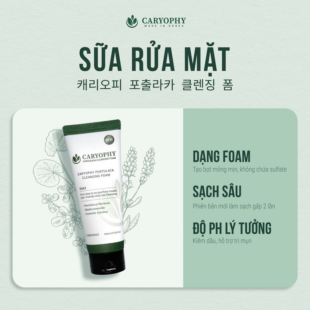 Sữa Rửa Mặt Ngăn Ngừa Mụn, Làm Mờ Thâm Caryophy Portulaca Cleansing Foam 150ml