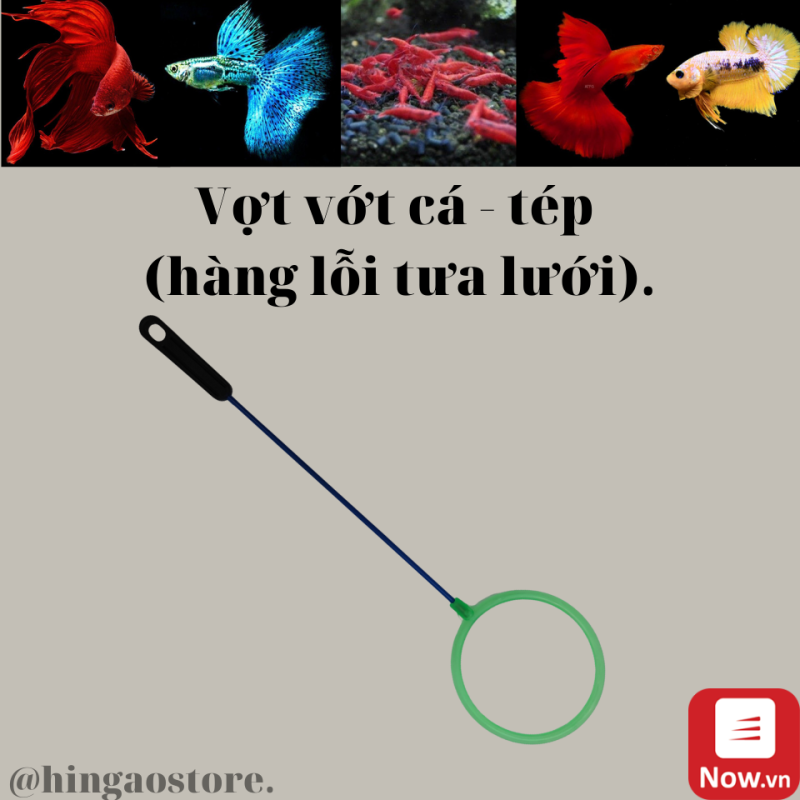 Vợt vớt cá (bị tưa lưới - lỗi) - Phụ kiện cá cảnh Hingaostore.