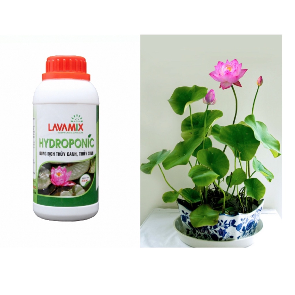 Dung Dịch Thủy Canh HYDROPONIC 100ml