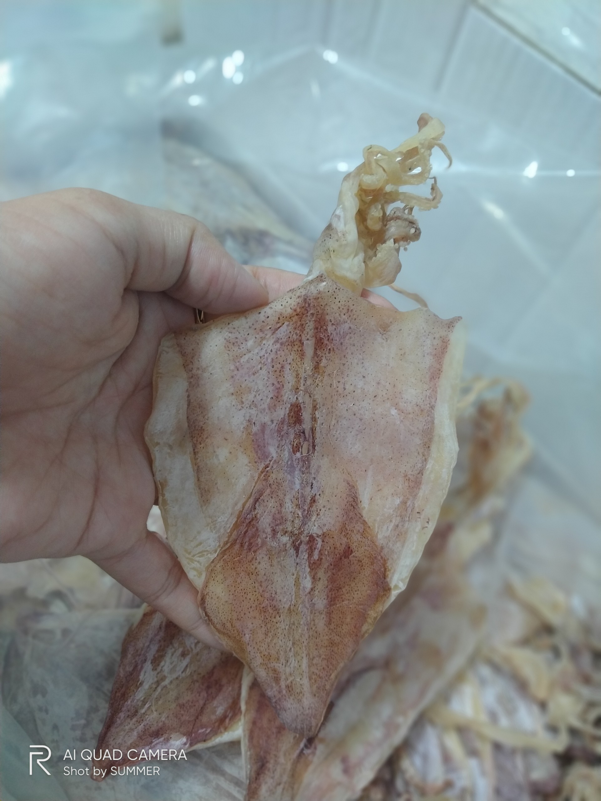 Siêu Rẻ 15k/ Con Mực Khô Mini Siêu Ngọt Siêu Rẻ [ GIAO HÀNG HỎA TỐC 2H ]