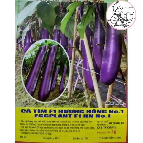 HẠT CÀ TÍM DÀI F1 THÁI LAN - GÓI 1 GRAM