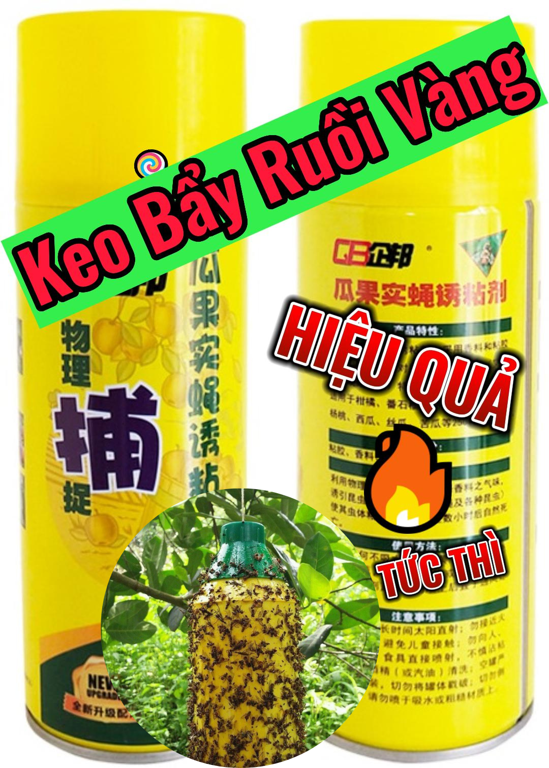 Glue trap rùi gold