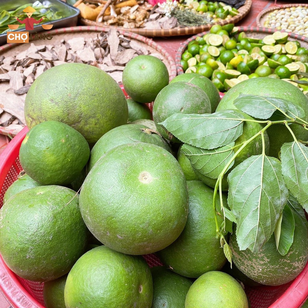 [HCM]Dầu Xả Nha Đam Dầu Dừa [Nguyên Chất Nhà Làm]