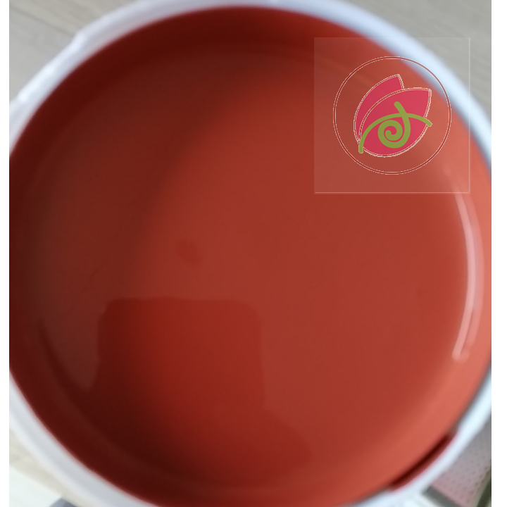Sơn chậu cảnh màu Đỏ chu DOLPHIN hệ nước 1kg