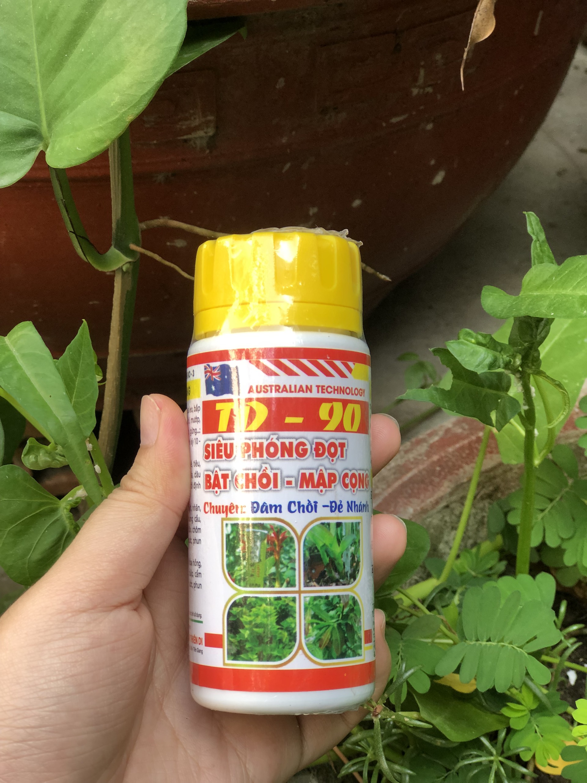 Siêu phóng đọt bật chồi mập cọng td 90-úc -100ml