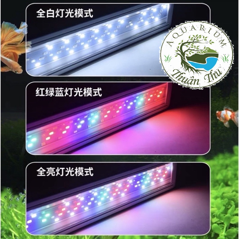 Đèn Led máng đổi màu 3 chế độ Quanlong WRGB 20 40cm hồ thủy sinh hồ cá cảnh