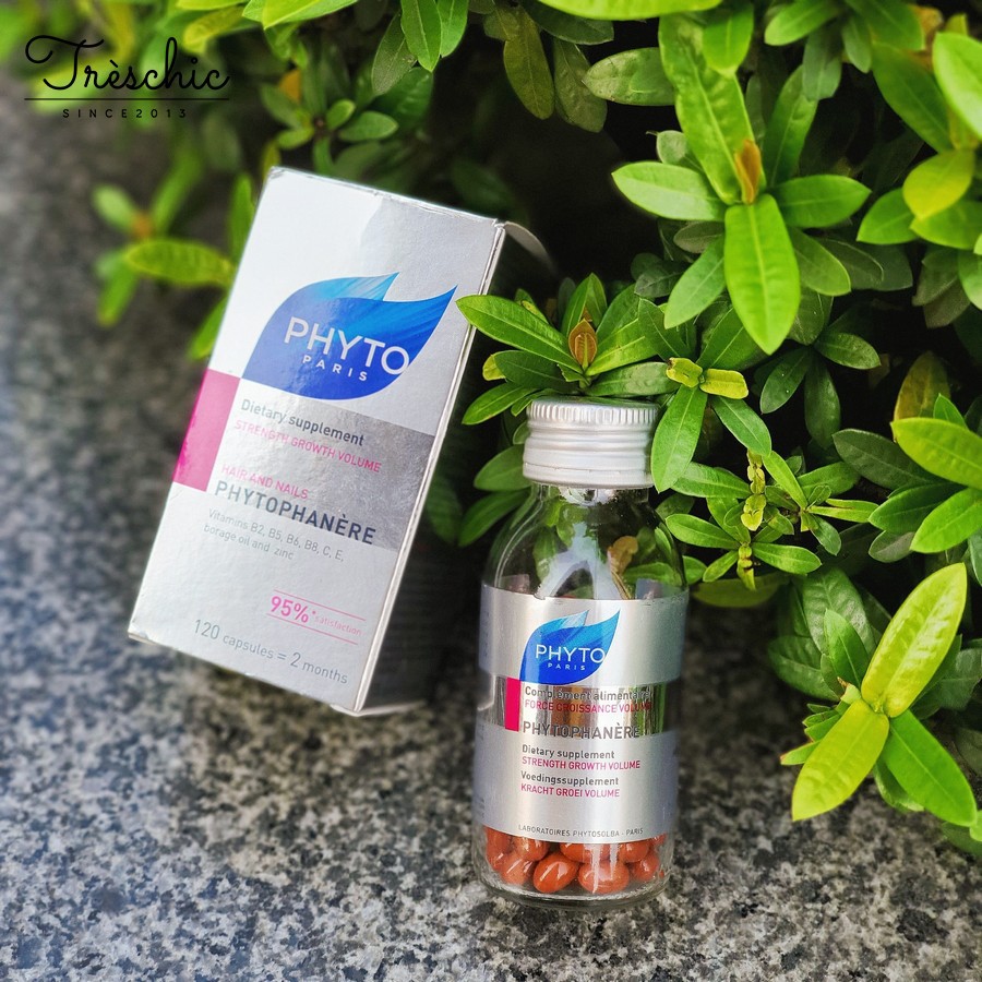 Viên Uống Mọc Tóc Phyto (120V)