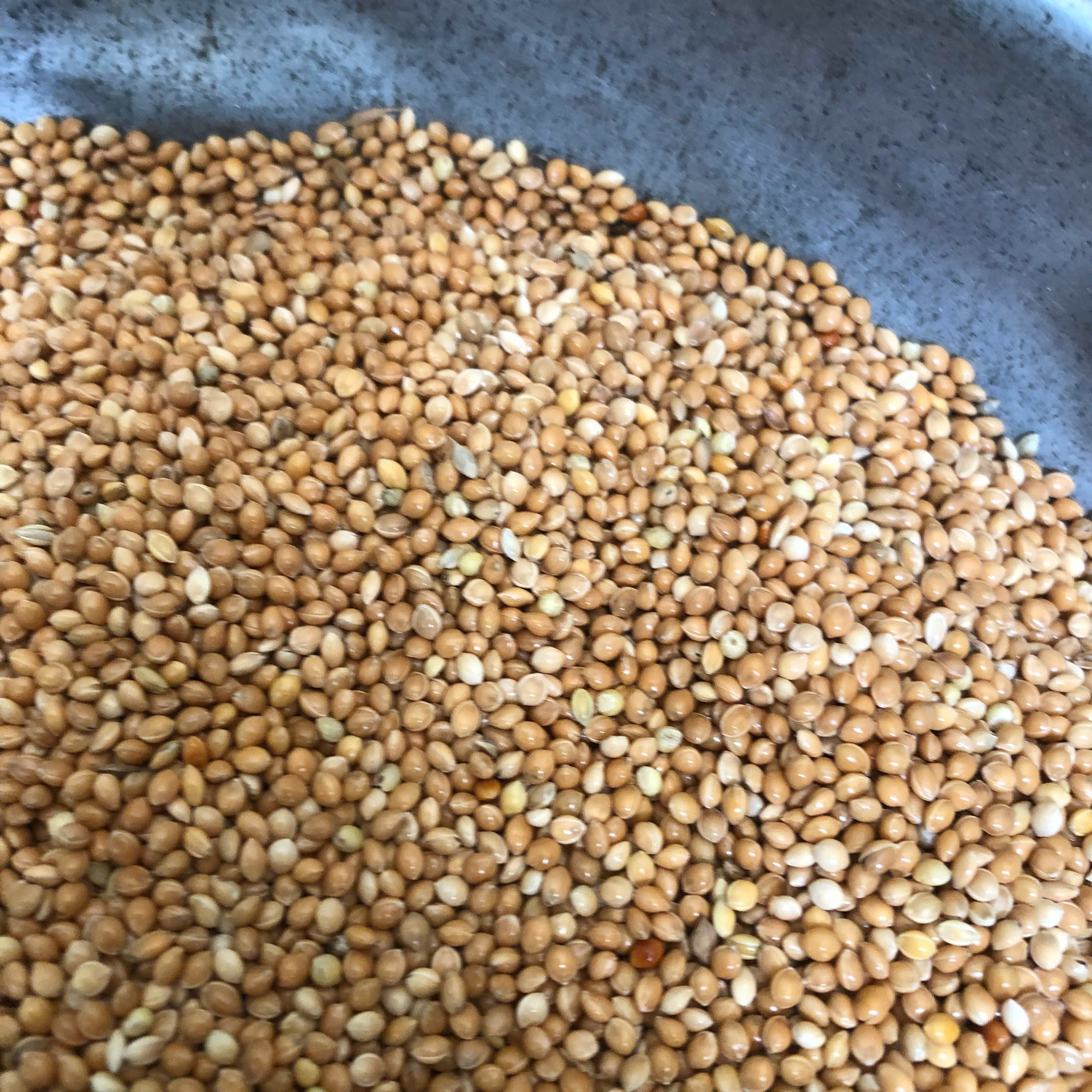 Hạt Kê Vàng gói 500g - 1kg (Chưa bóc vỏ)