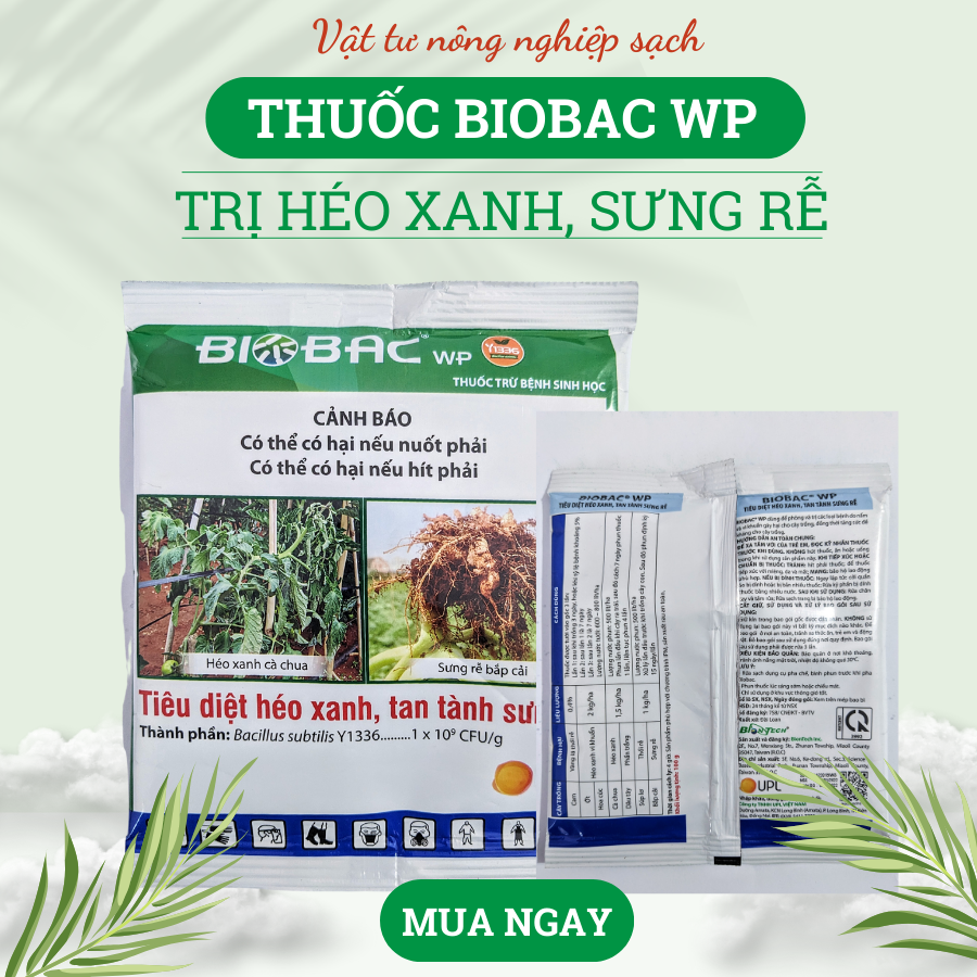 Thuốc Biobac Wp (gói 100g) trị héo xanh, sưng rễ