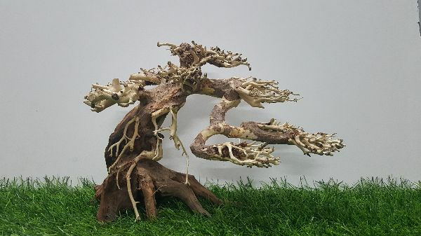 [HCM]Lũa bonsai cấy rêu ( dài23- cao16cm)
