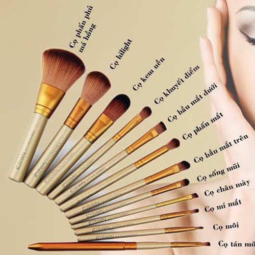 Cọ trang điểm 12 chi tiết naked3