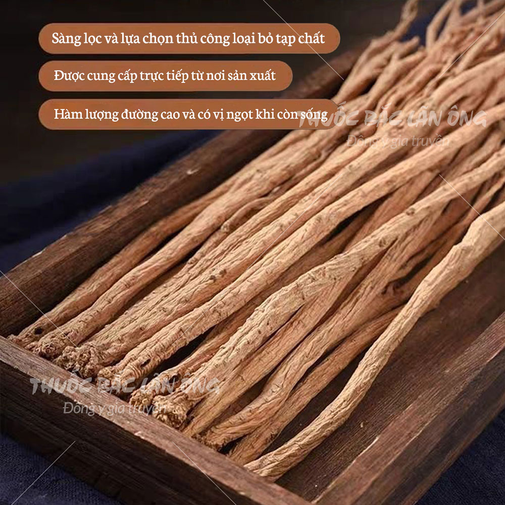 Phòng đẳng sâm 100g, cọng to, thơm, già - Lãn Ông