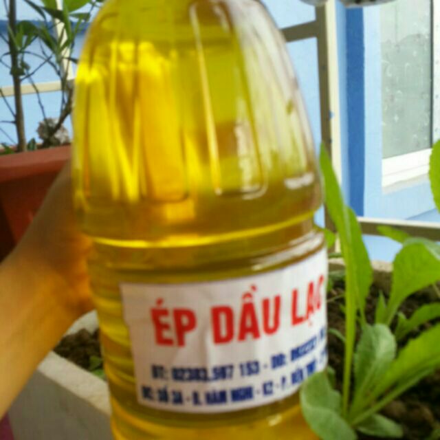 sỉ Dầu lạc nghệ an (dầu đậu phộng)