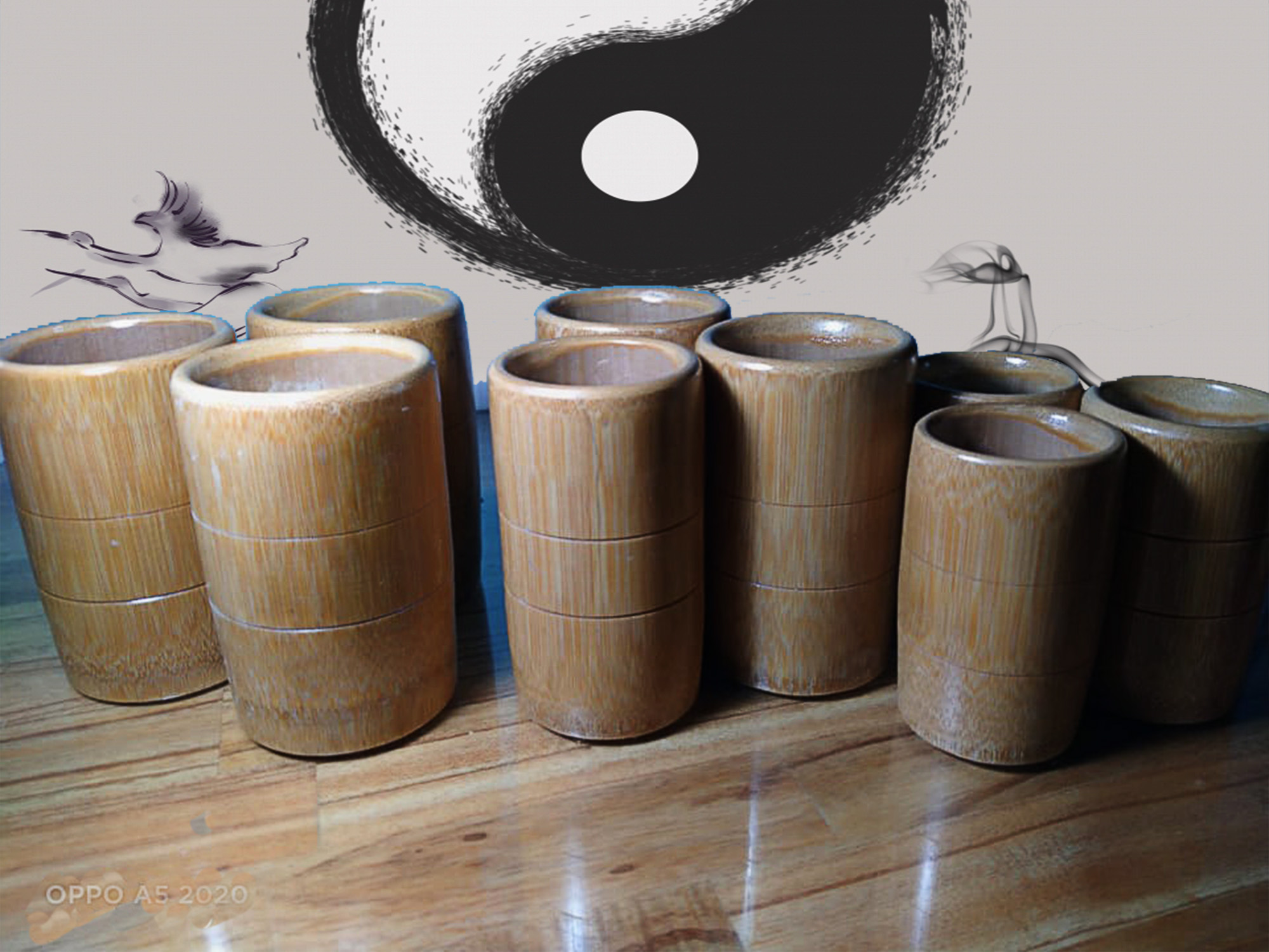 Giác trúc kích thước lớn