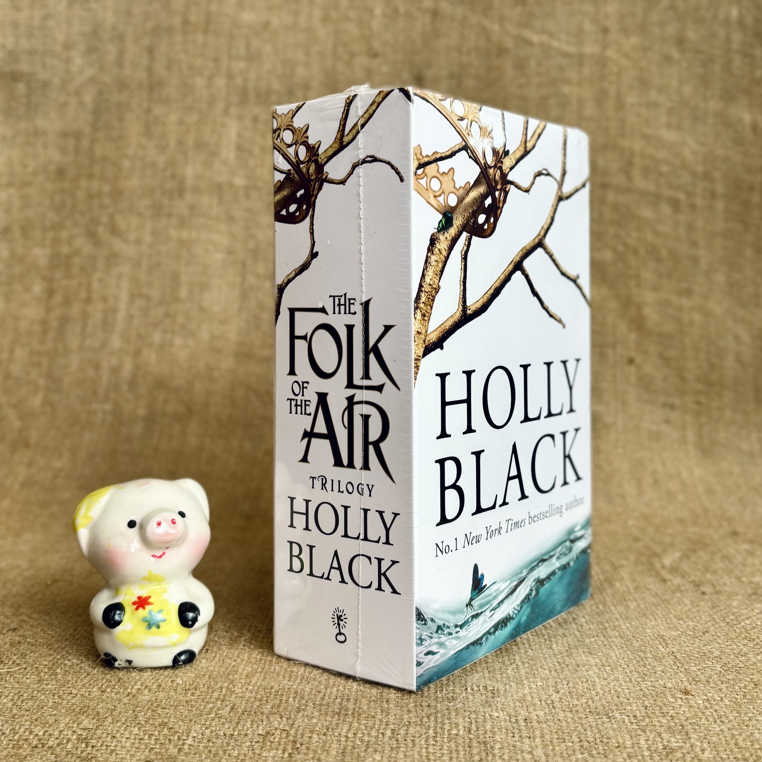 The Folk of the Air Series Boxset - Holly Black