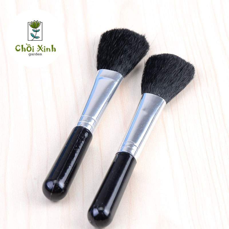 Chổi quét bụi