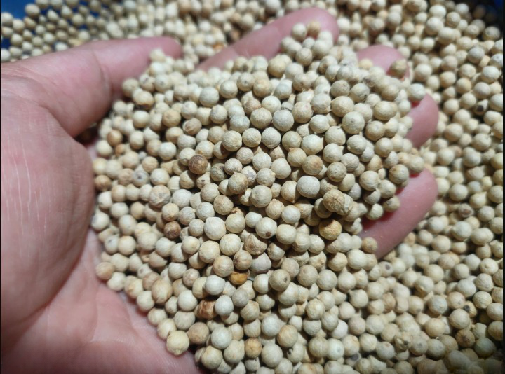 Tiêu Sọ Trắng Hạt Nguyên Chất 100%