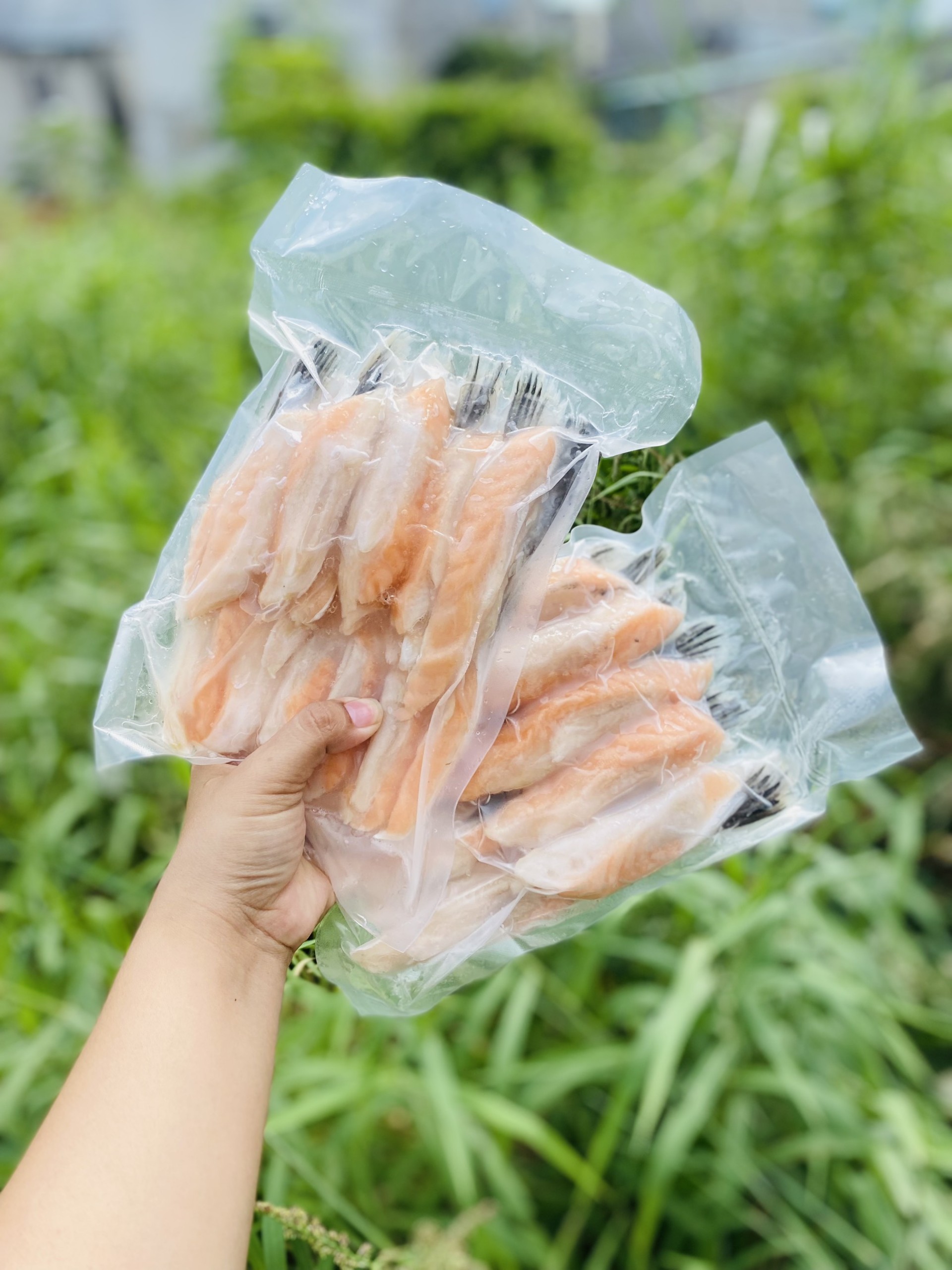 [GIAO NHANH 2H HCM] Giá Sỉ - Vây Cá Hồi Na Uy (1Kg)