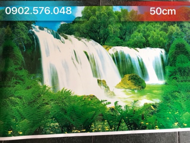 [HCM]Tranh hồ cá cao 50cm 1m