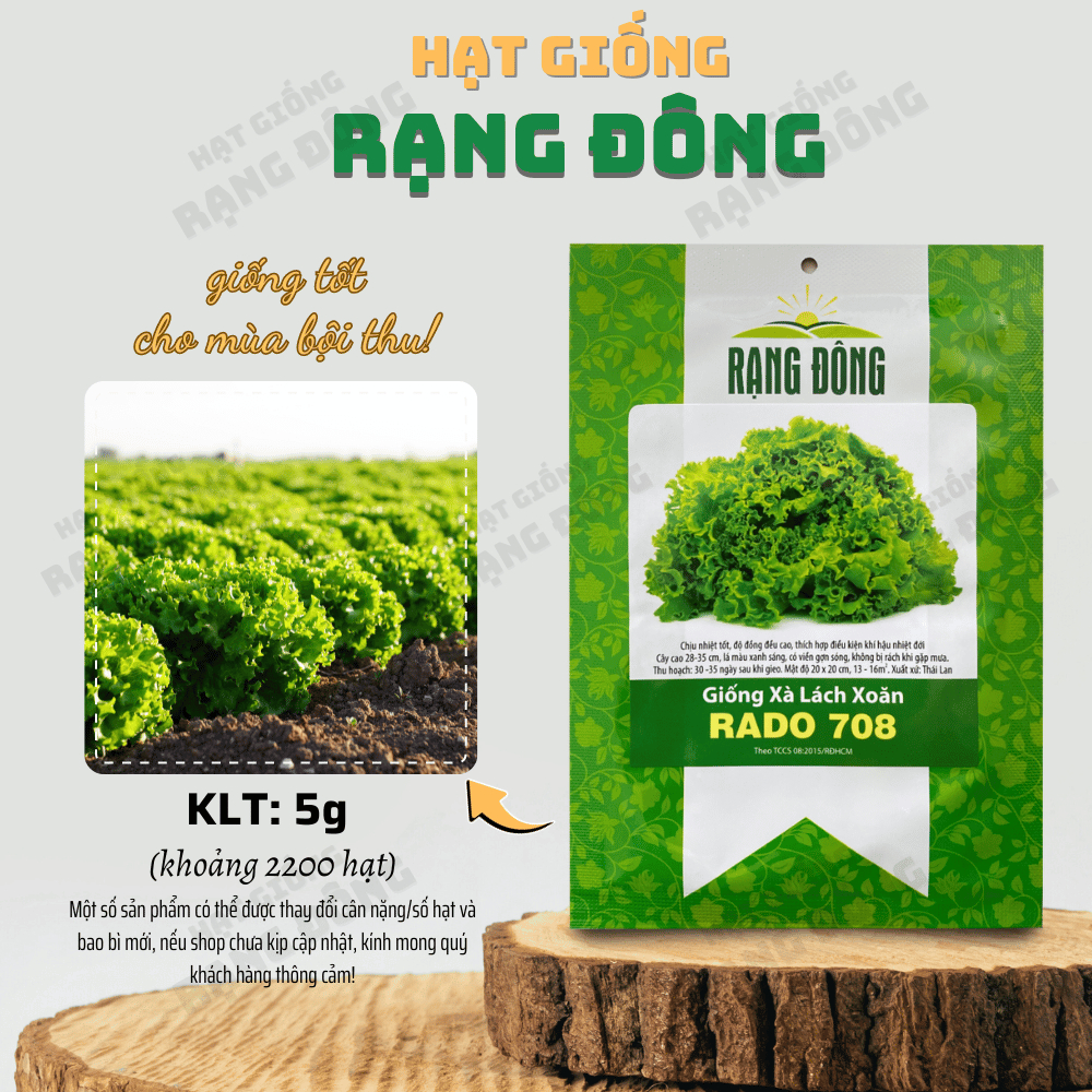 Hạt giống Xà Lách Xoăn Rado 708 chịu nhiệt tốt, trồng quanh năm, nhanh thu hoạch - Hạt giống Rạng Đông