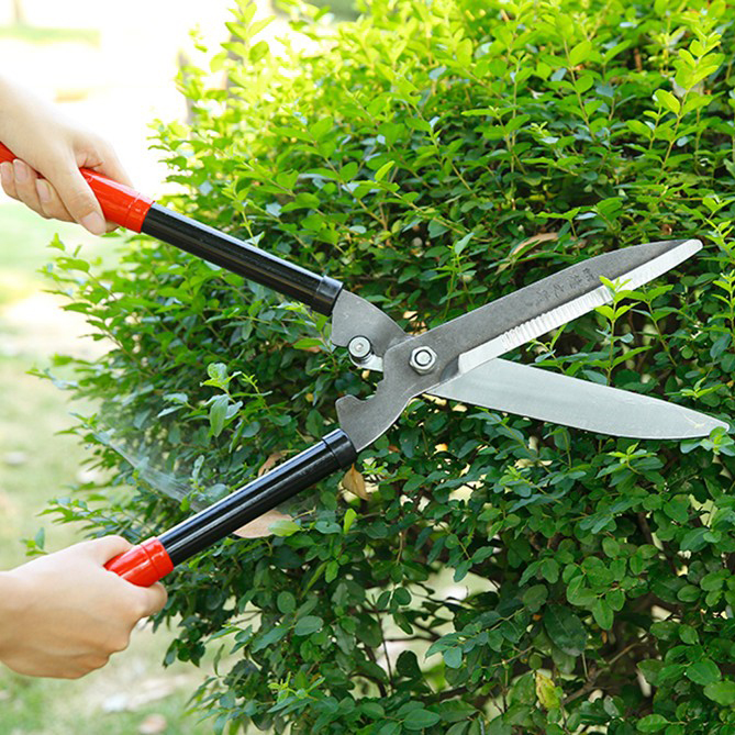 Kéo cắt cỏ hàng rào 53cm