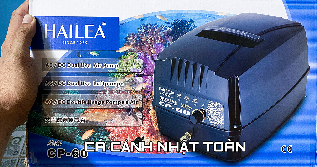 "hoàn tiền đến 10%" máy oxy tích điện loại lớn cho bể cá hailea cp60