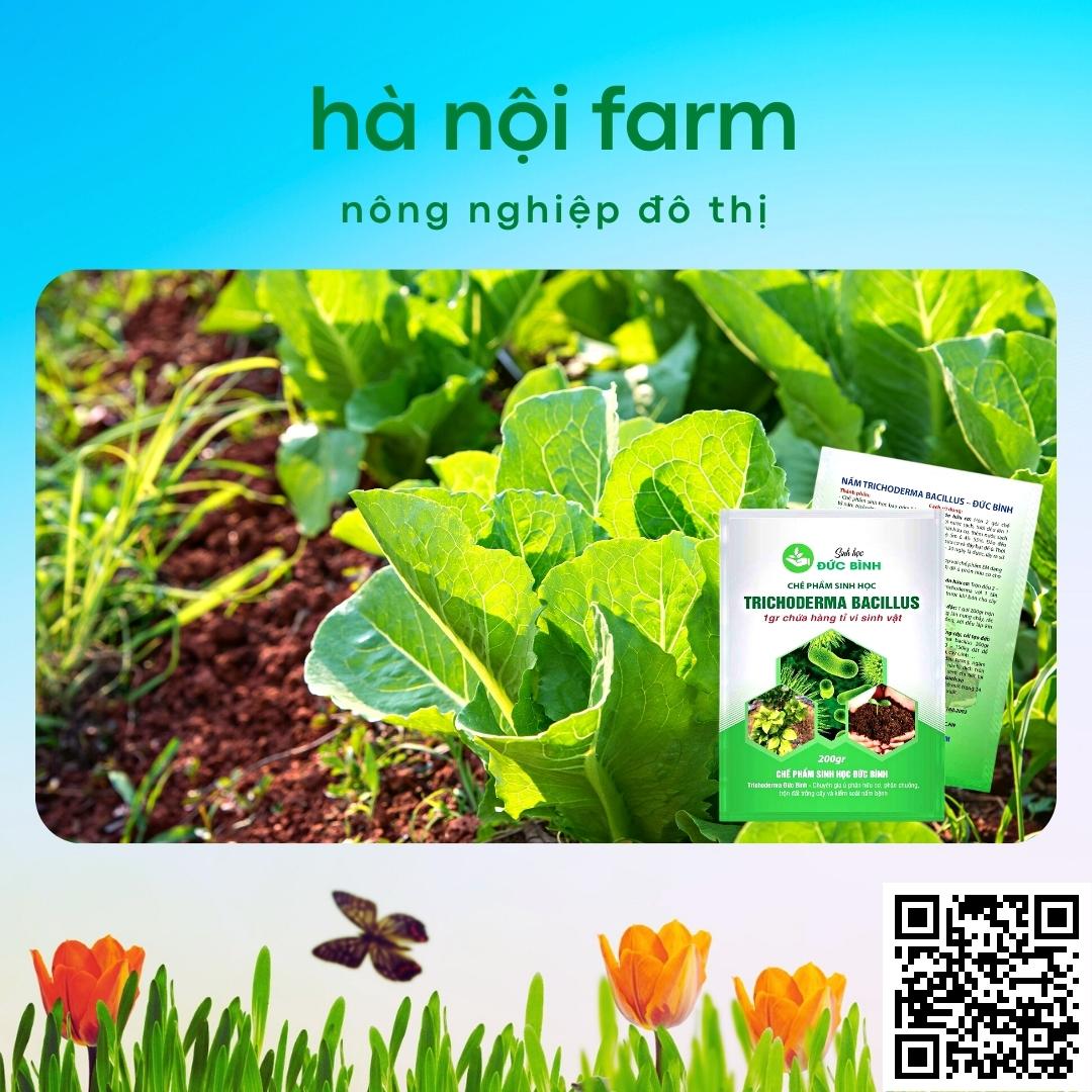 Men ủ sinh học TRICHODERMA BACILILUS gói 200g, tricho đức bình