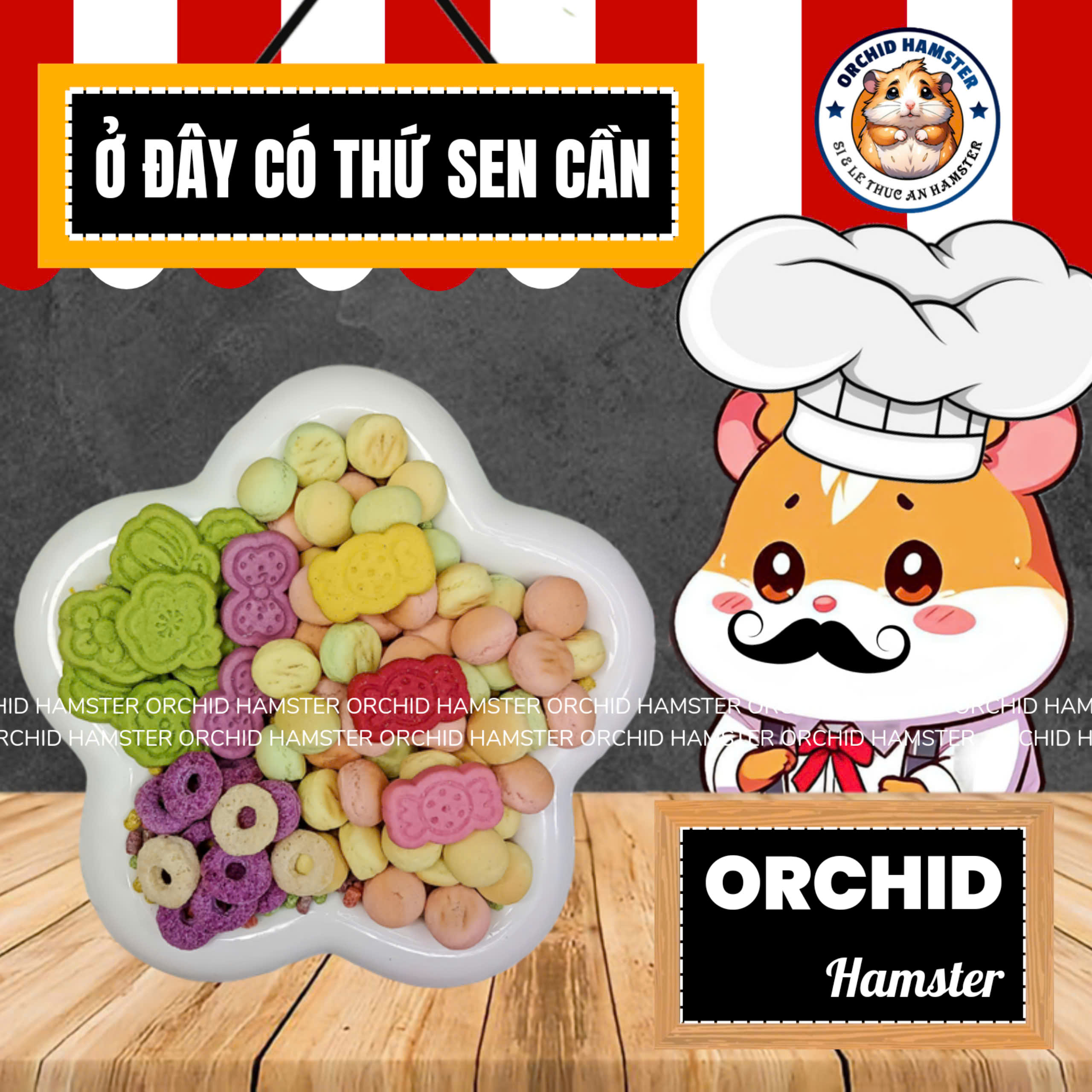 Bánh Bingsoo Hamster Mix Đủ Vị Dành Cho Hamster/Sóc/Thỏ/Nhím Và Thú Nhỏ