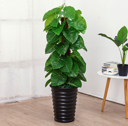 Cây Trầu Bà Giả Kèm Chậu