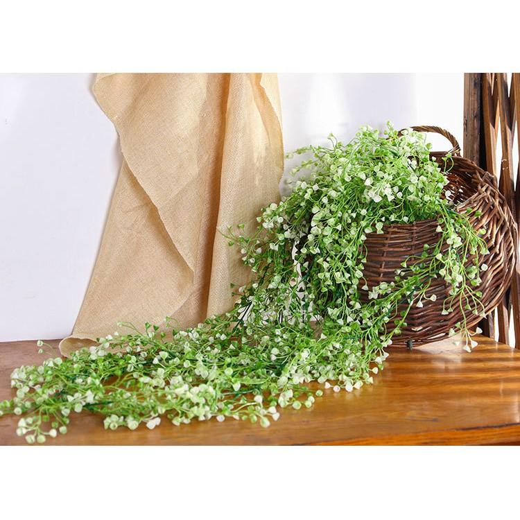(Loại 1) Dây leo rong biển chiều dài 1 chùm 115cm