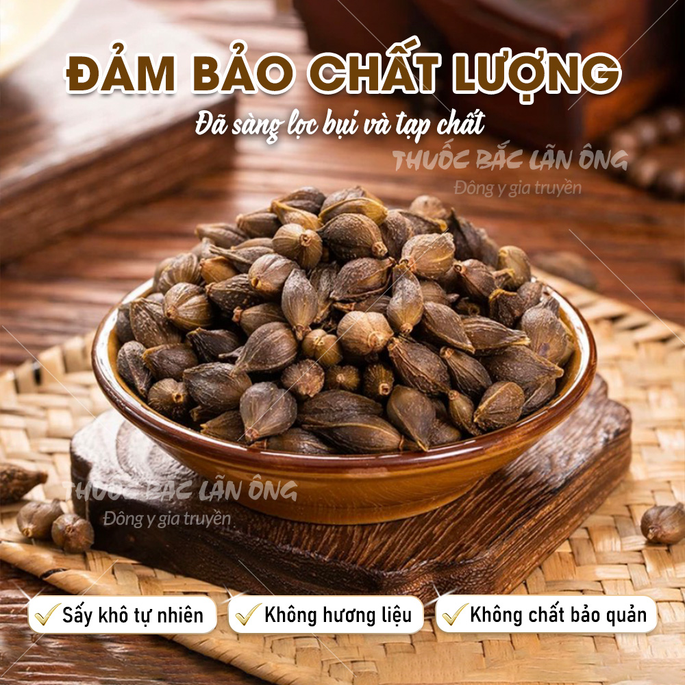 Dried Lien Kieu 100g, Lower Inflammation, Supports the Reduction of Pimples, Rashes, Itching, Cools the Body, Detoxifies, Cools the Liver